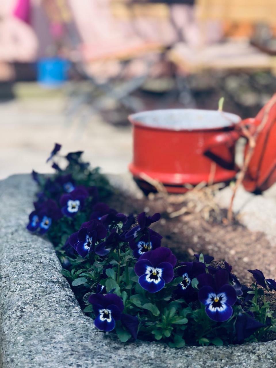 Altes Handelshaus Plauen Bagian luar foto